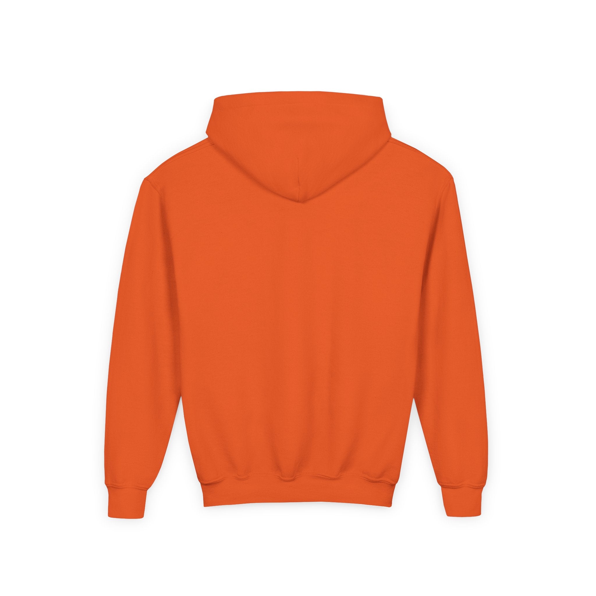 RBDG Bubs RGB Embroidered Hoodie
